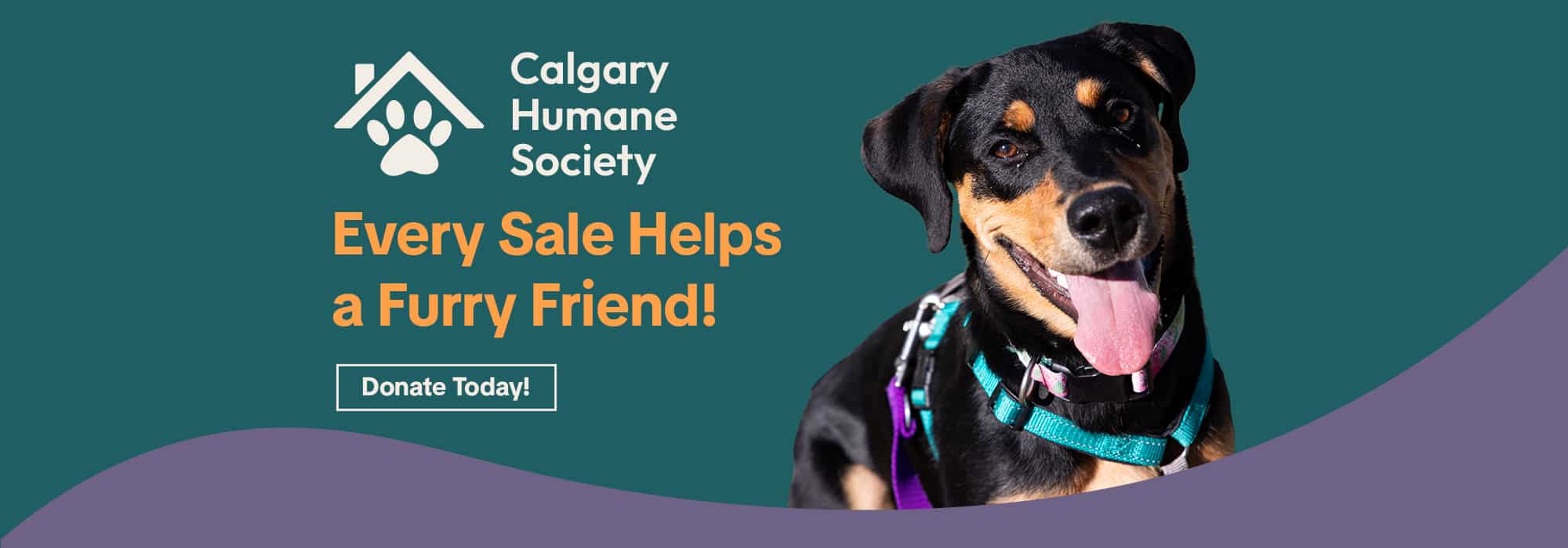 Calgary Humane Society banner featuring a happy dog with text "Every Sale Helps a Furry Friend! Donate Today!"